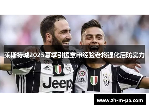 莱斯特城2025夏季引援意甲经验老将强化后防实力 莱斯特城2025夏季引援意甲经验老将强化后防实力